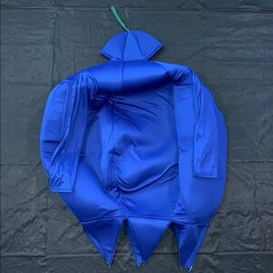 Adult Blueberry Halloween Costume in Standard Size (Unofficial Violet Costume)